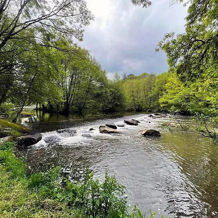 1 D'hote Moderne Au Calme A 15mn Du Puy Du Fou Bed and Breakfast Mortagne-sur-Sevre